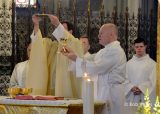2013 Lourdes Pilgrimage - MONDAY Mass Upper Basilica (11/24)